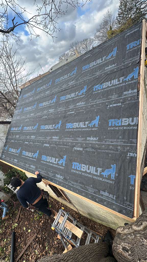 Roof project image 0